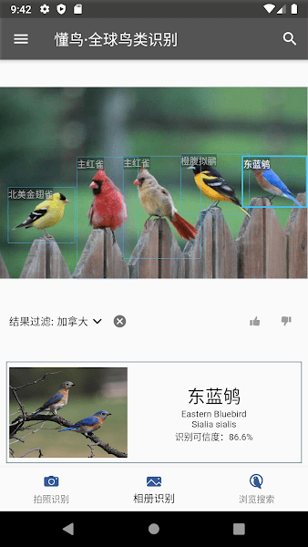 懂鸟全球鸟类识别图2