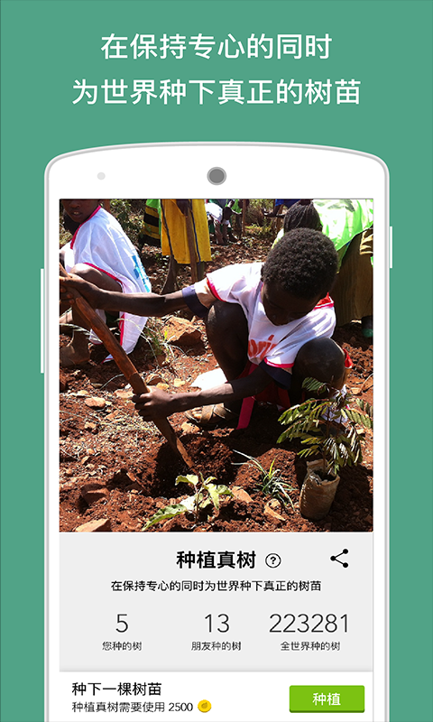 forest专注森林安装图5