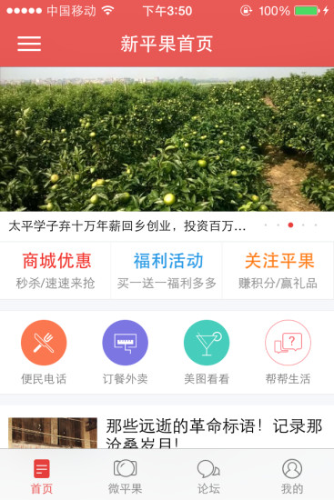 广西新平果网图4