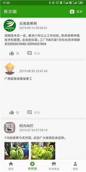云南香蕉网最新版图1