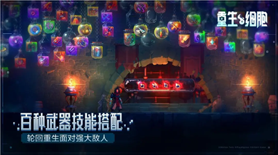 重生细胞MOD作弊菜单版图5