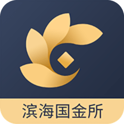 滨海国金所软件