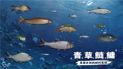 天天钓鱼无限金币版图1
